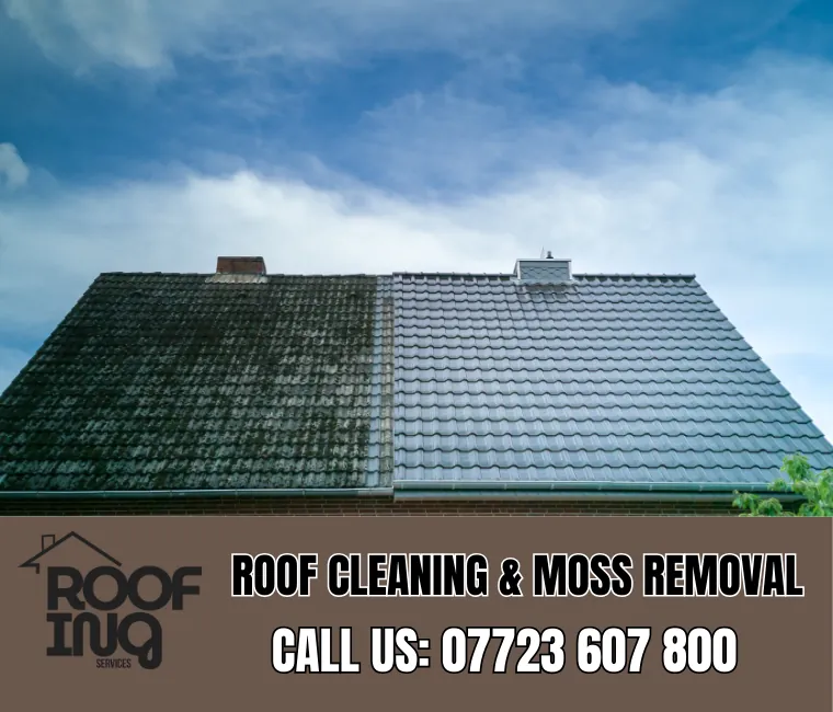 Roof cleaning and moss removal in Falmouth